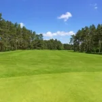 Your Trusted Polish Clinic Across Coventry, Birmingham and Corby